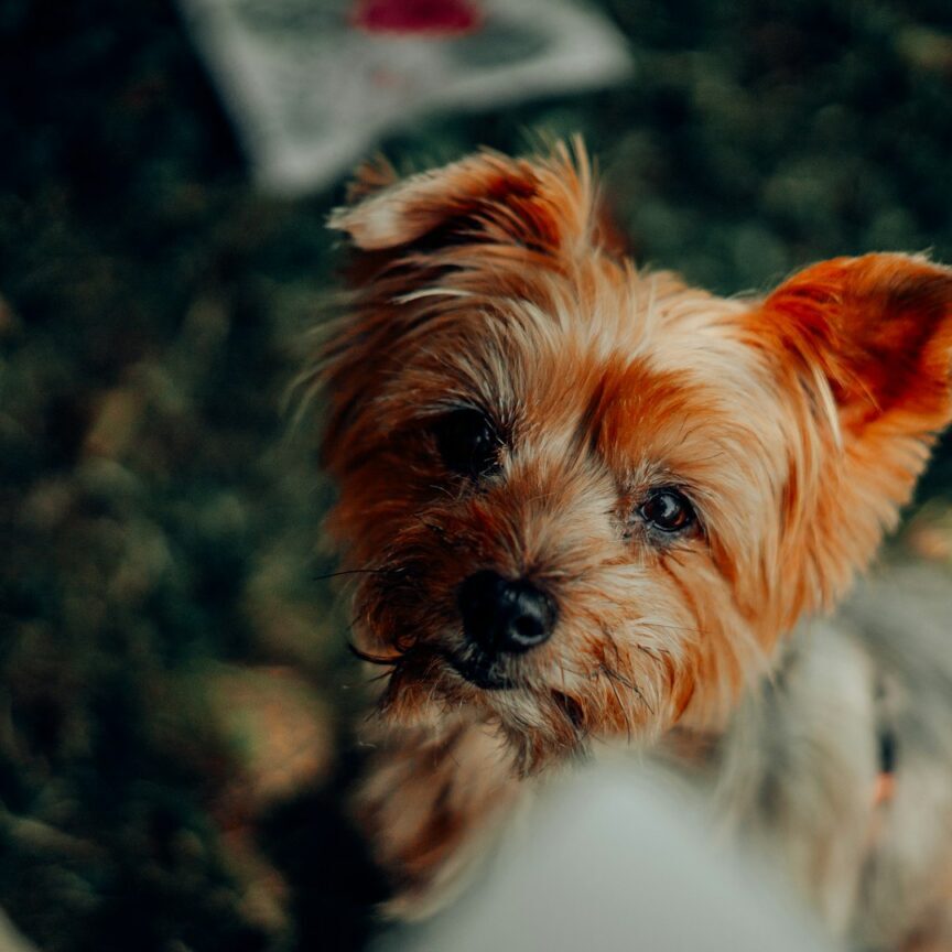 christoph-wick-ZQP6eDwlfOw-unsplash